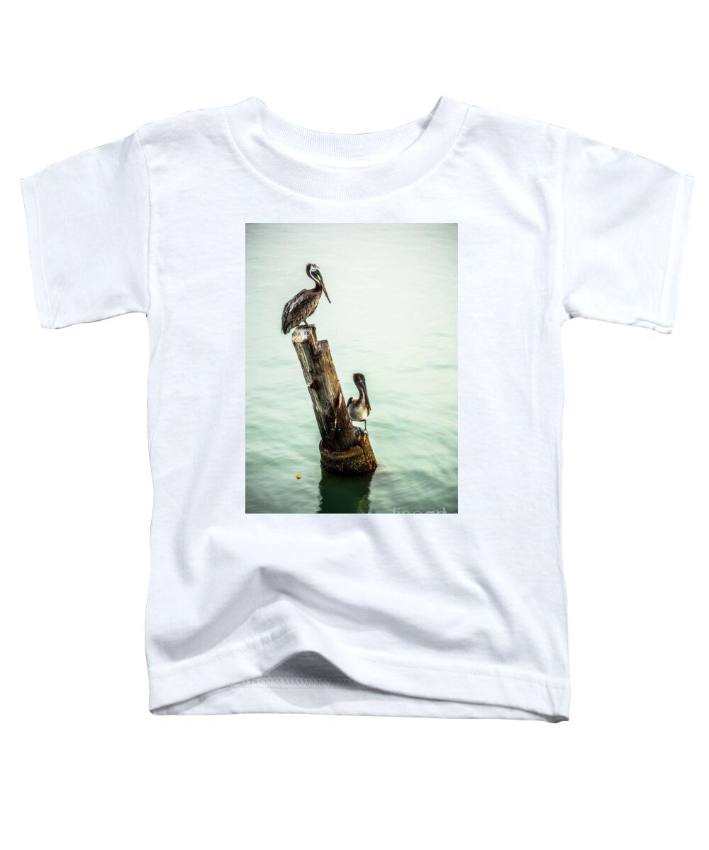 Brown Pelicans Toddler T-Shirt featuring the photograph Brown Pelicans by Imagery by Charly