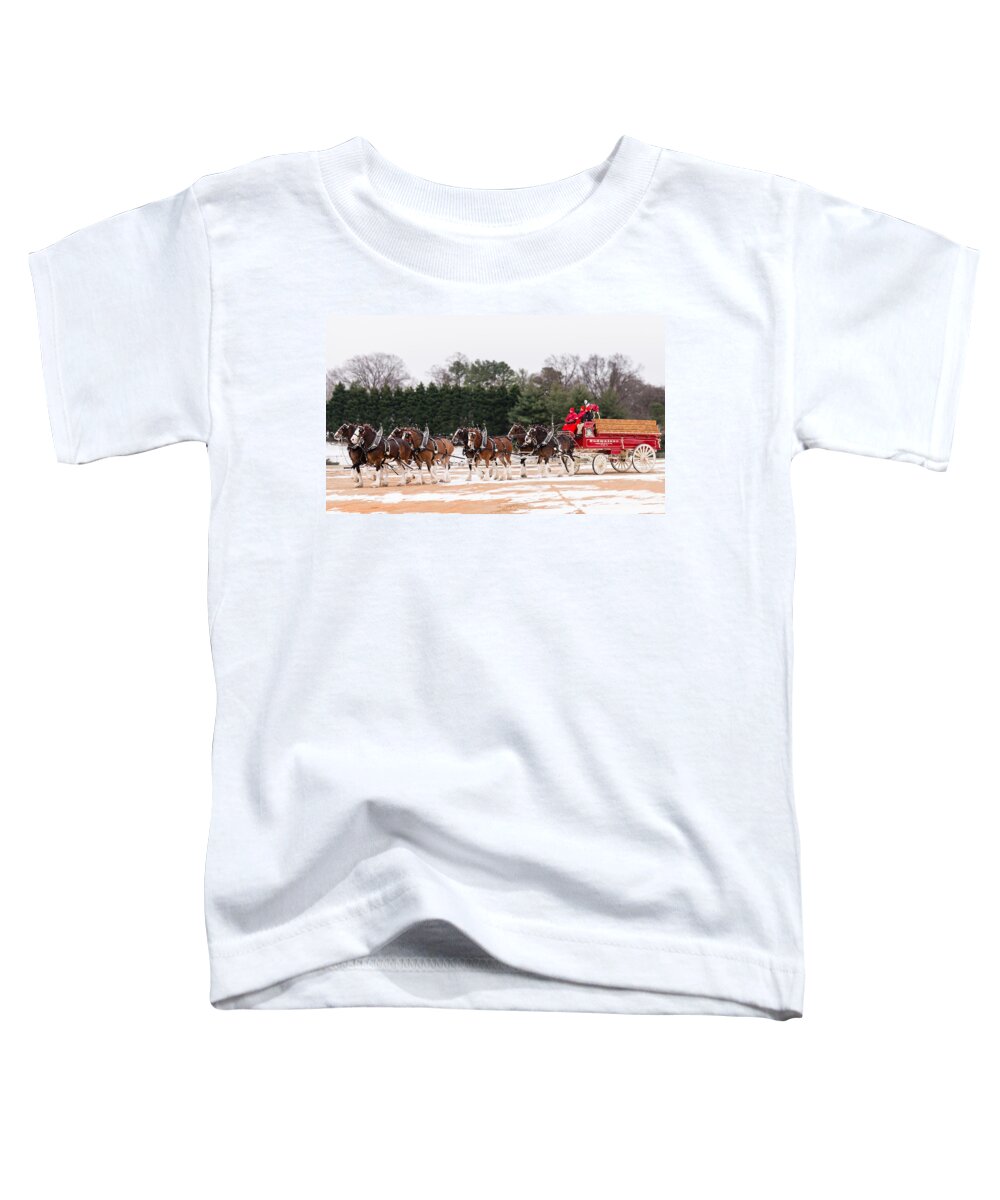 Beer Toddler T-Shirt featuring the photograph Budweiser Clydesdales by Stacy Abbott