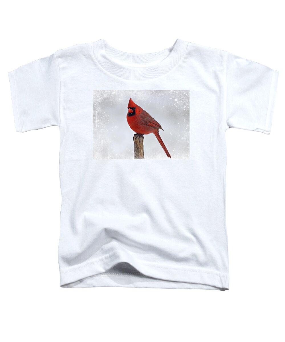 Cardinal Toddler T-Shirt featuring the photograph Cardinal Perching by Sandy Keeton