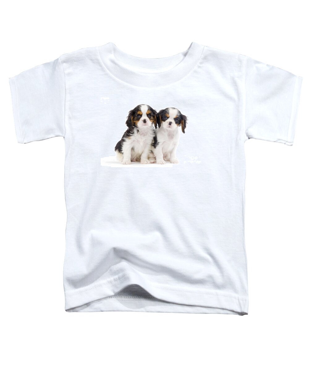 Dog Toddler T-Shirt featuring the photograph Cavalier King Charles Spaniel Pups by Jean-Michel Labat