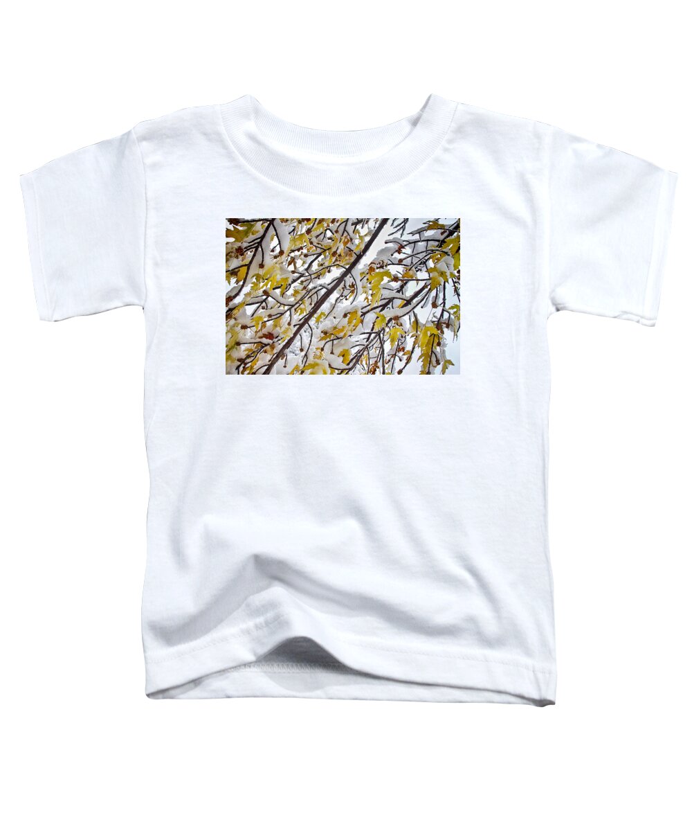 Tree Toddler T-Shirt featuring the photograph Colorful Maple Tree Branches In The Snow 3 by James BO Insogna