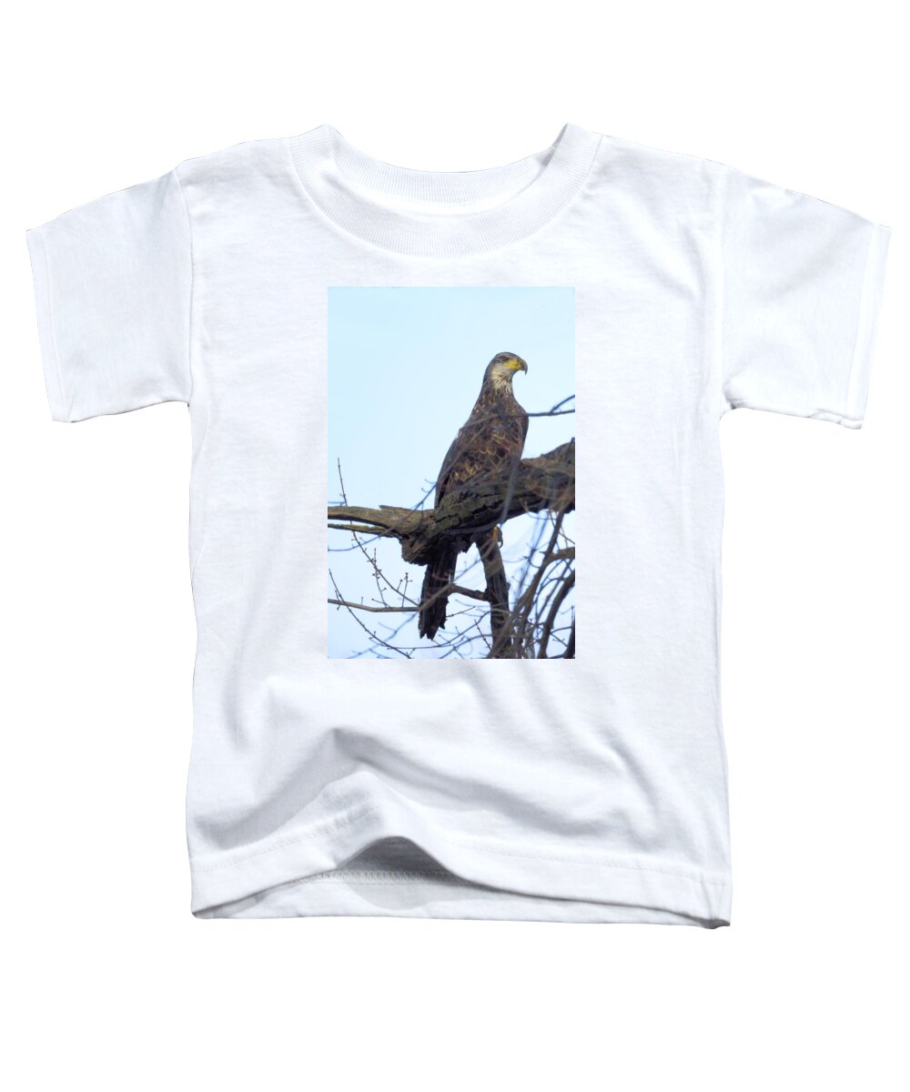 Eagle Toddler T-Shirt featuring the photograph Comfort Eagle by Bonfire Photography