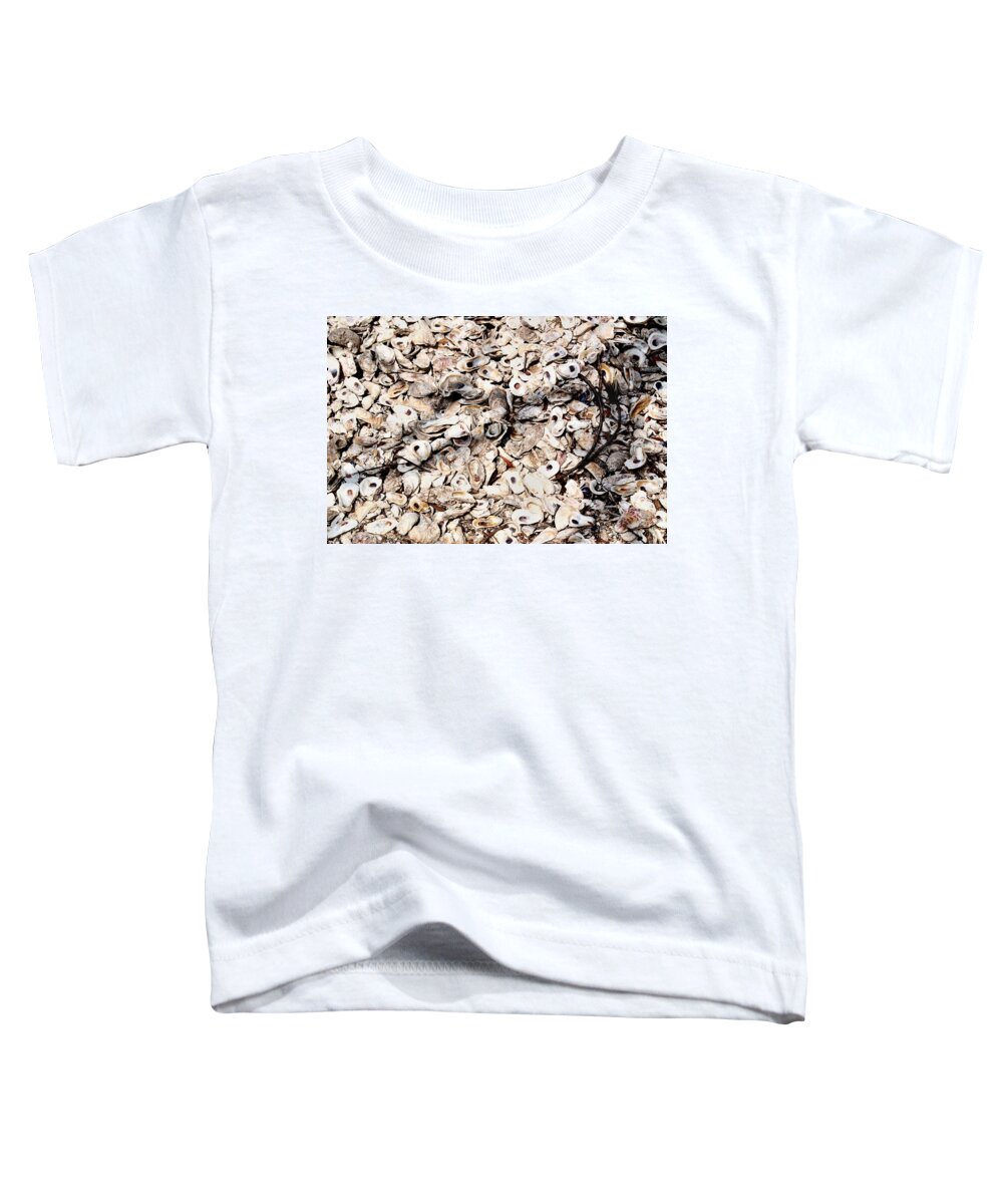Shells Toddler T-Shirt featuring the photograph Coquina by Joseph Desiderio