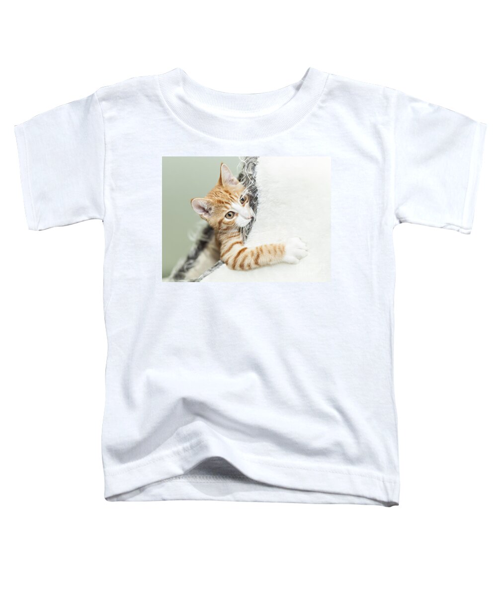 Kitten Toddler T-Shirt featuring the photograph Cute ginger kitten in igloo by Sophie McAulay