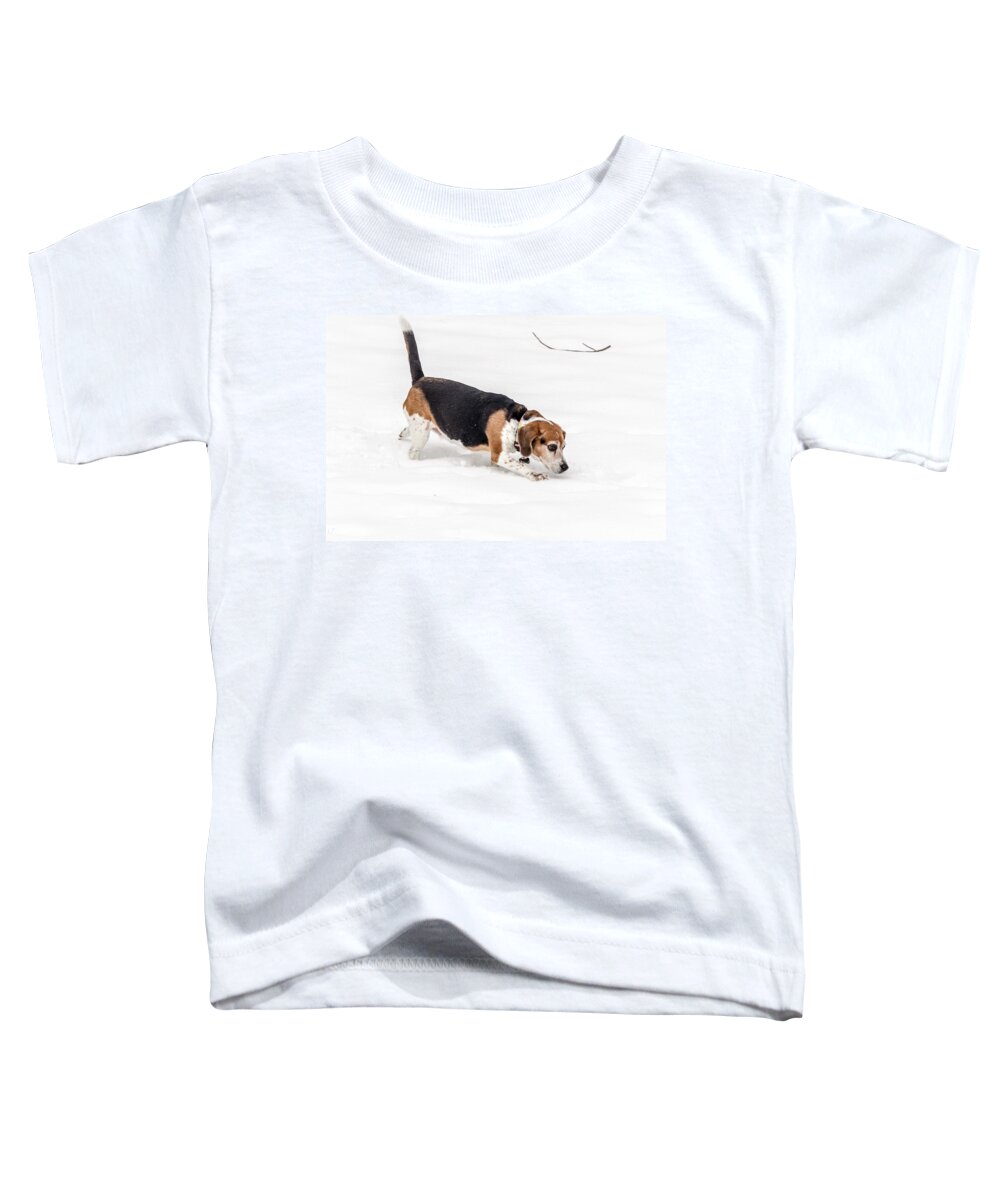 2015 Toddler T-Shirt featuring the photograph Dog in the Snow by Wade Brooks