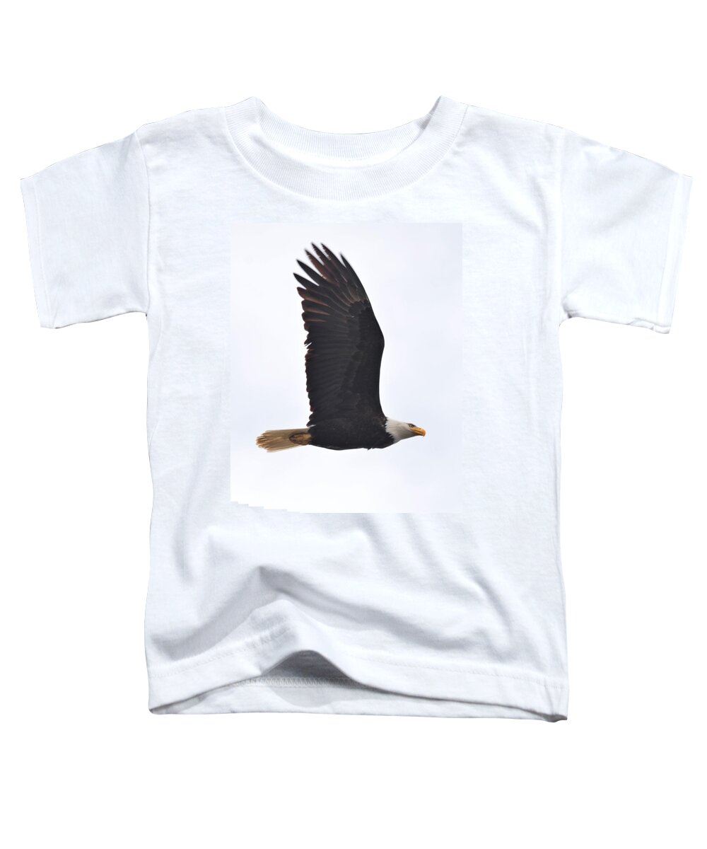 Bald Eagle Toddler T-Shirt featuring the photograph Eagle in Flight by Jeff Cook