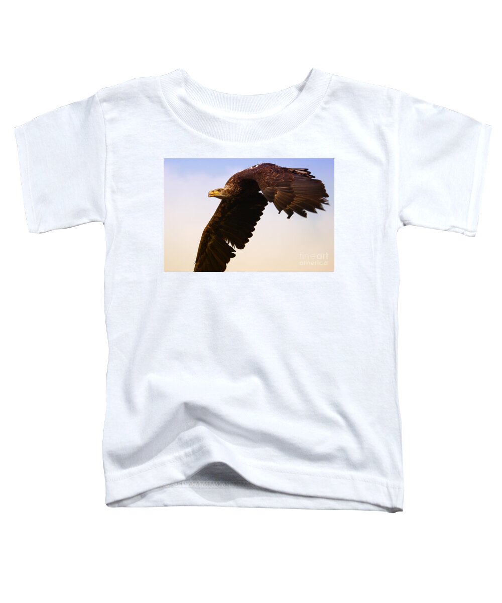 Eagle Toddler T-Shirt featuring the photograph Eagle in flight by Nick Biemans