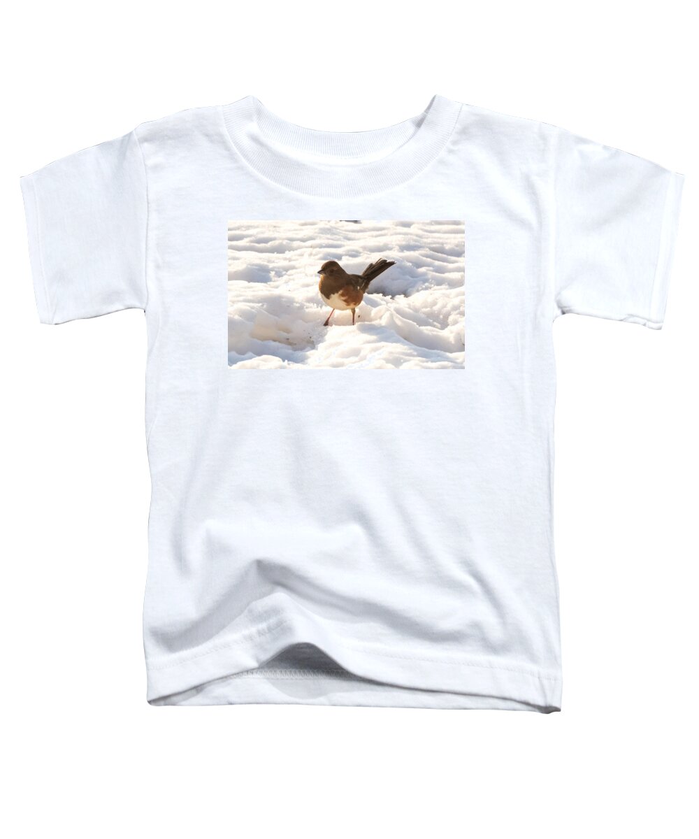 Snow Toddler T-Shirt featuring the photograph Eastern Towhee  by Holden The Moment