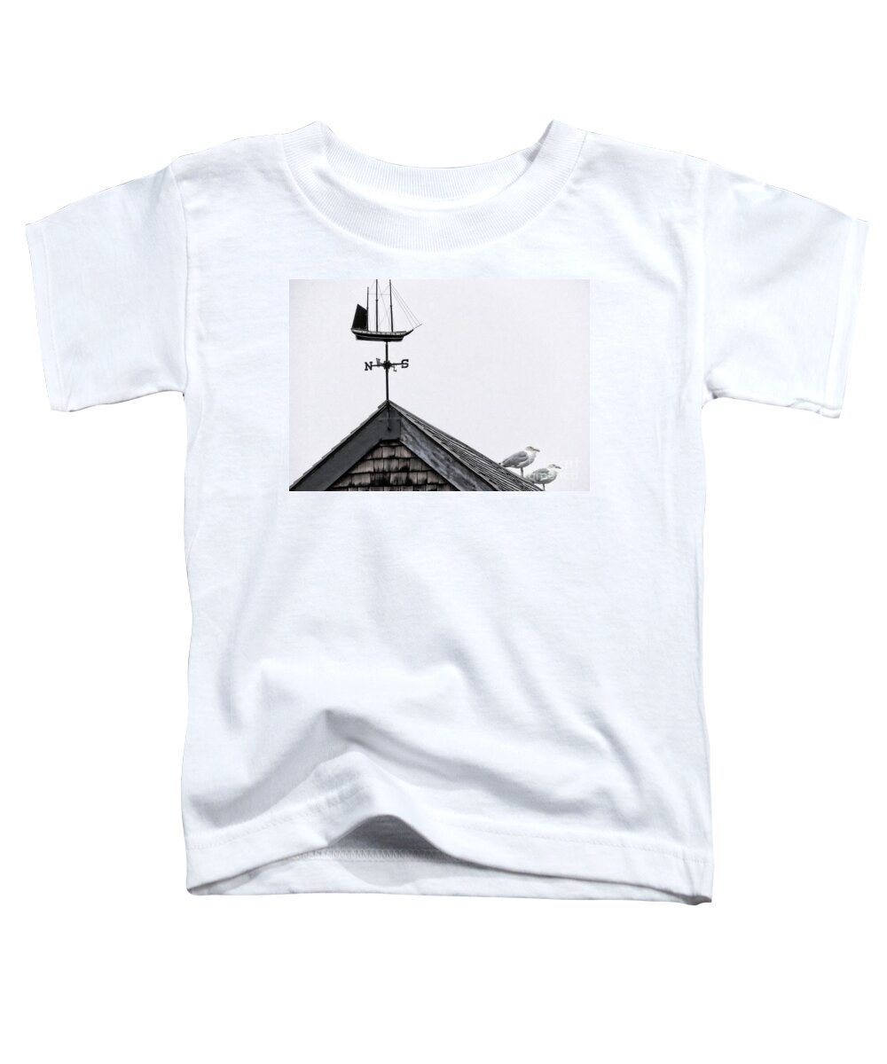 Landmark Toddler T-Shirt featuring the photograph Facing South by Marcia Lee Jones