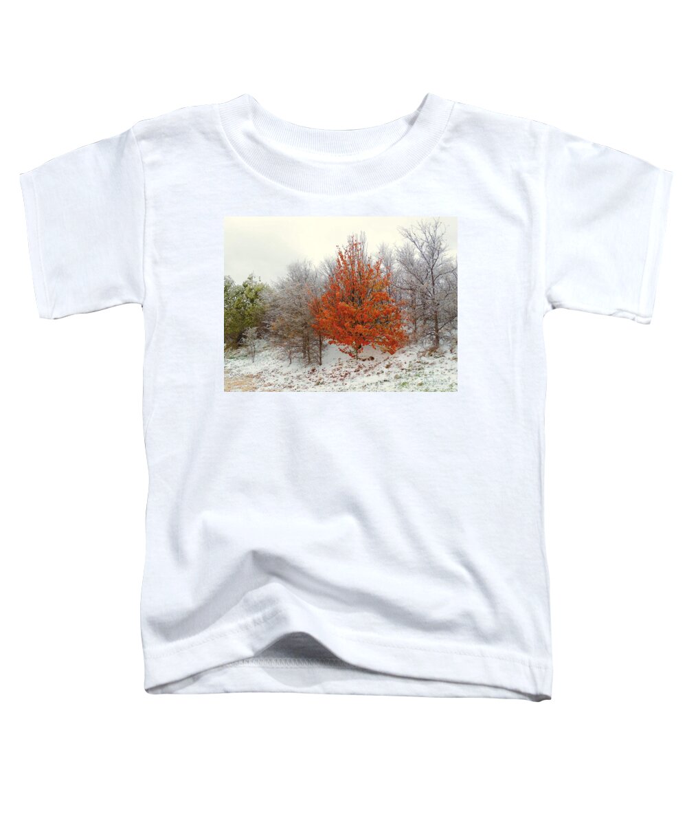 Fall Toddler T-Shirt featuring the photograph Fall and Winter by Robert ONeil