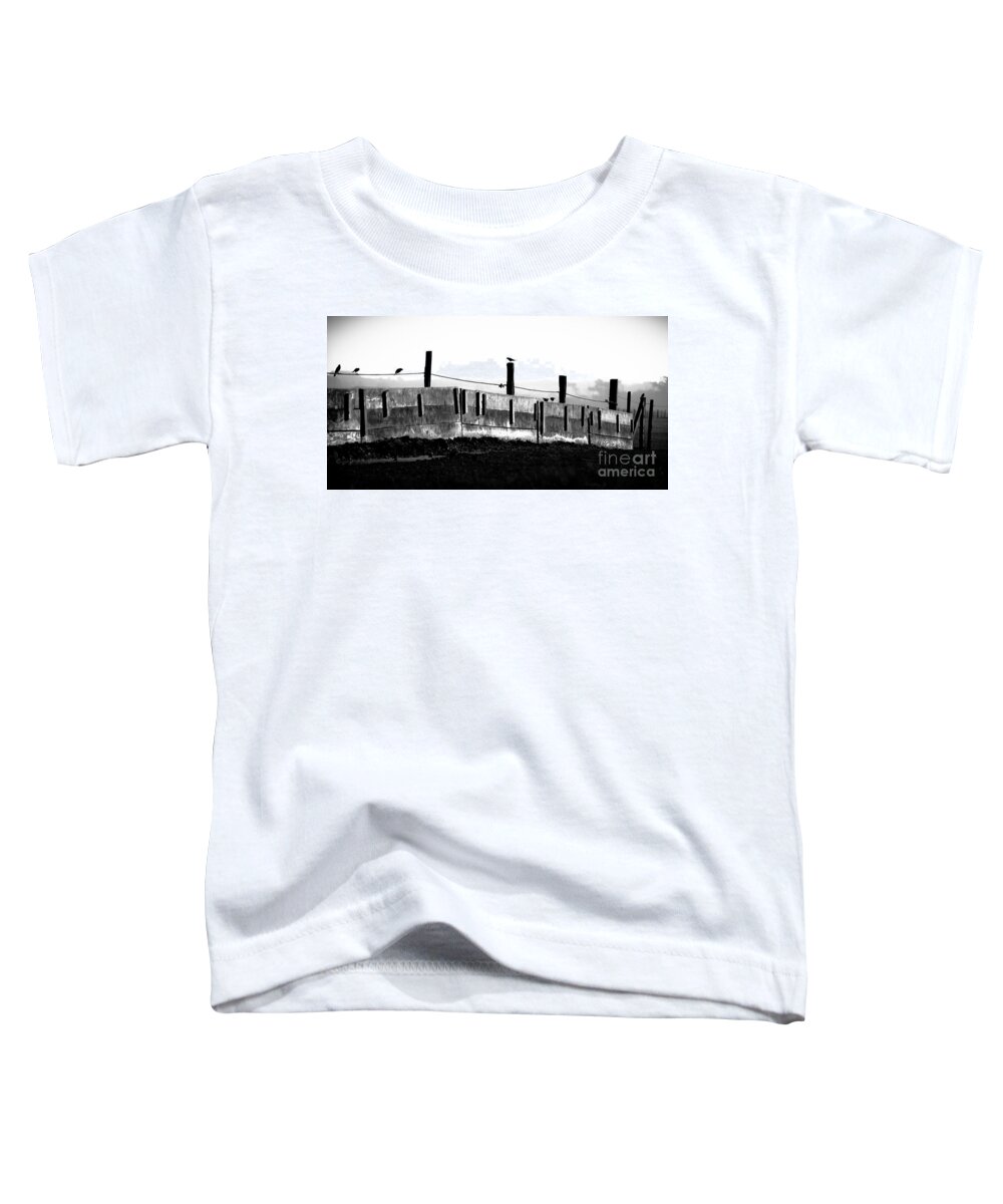 Animals Toddler T-Shirt featuring the photograph Fence and Birds by Jo Ann Tomaselli