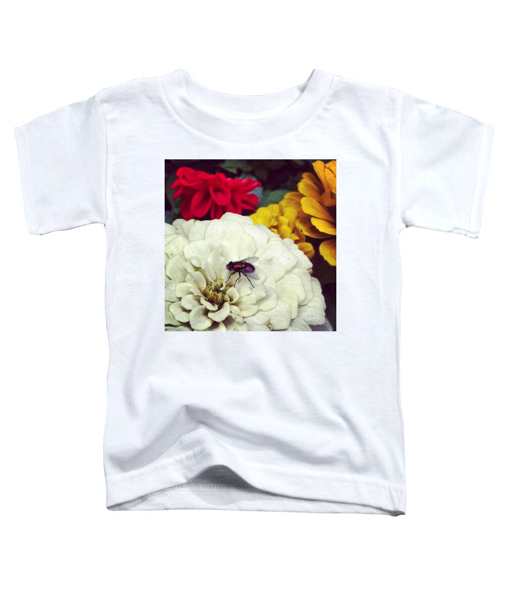 Fly Toddler T-Shirt featuring the photograph Fly by Katie Cupcakes