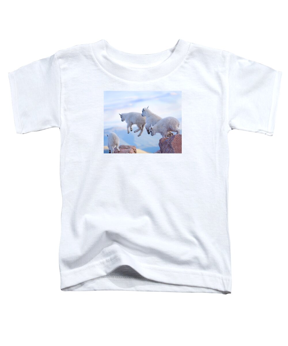 Mountain Goats; Posing; Group Photo; Baby Goat; Nature; Colorado; Crowd; Baby Goat; Mountain Goat Baby; Happy; Joy; Nature; Brothers Toddler T-Shirt featuring the photograph Follow the Leader by Jim Garrison