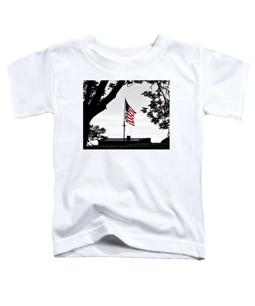 Flag Toddler T-Shirt featuring the photograph Fort McHenry Flag Color Splash by Bill Swartwout