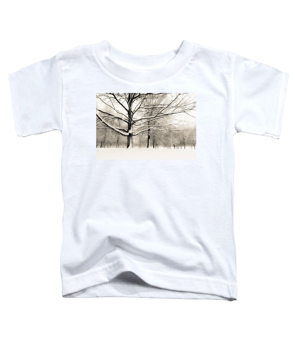 Francis Park Toddler T-Shirt featuring the photograph Francis Park in snow by Scott Rackers