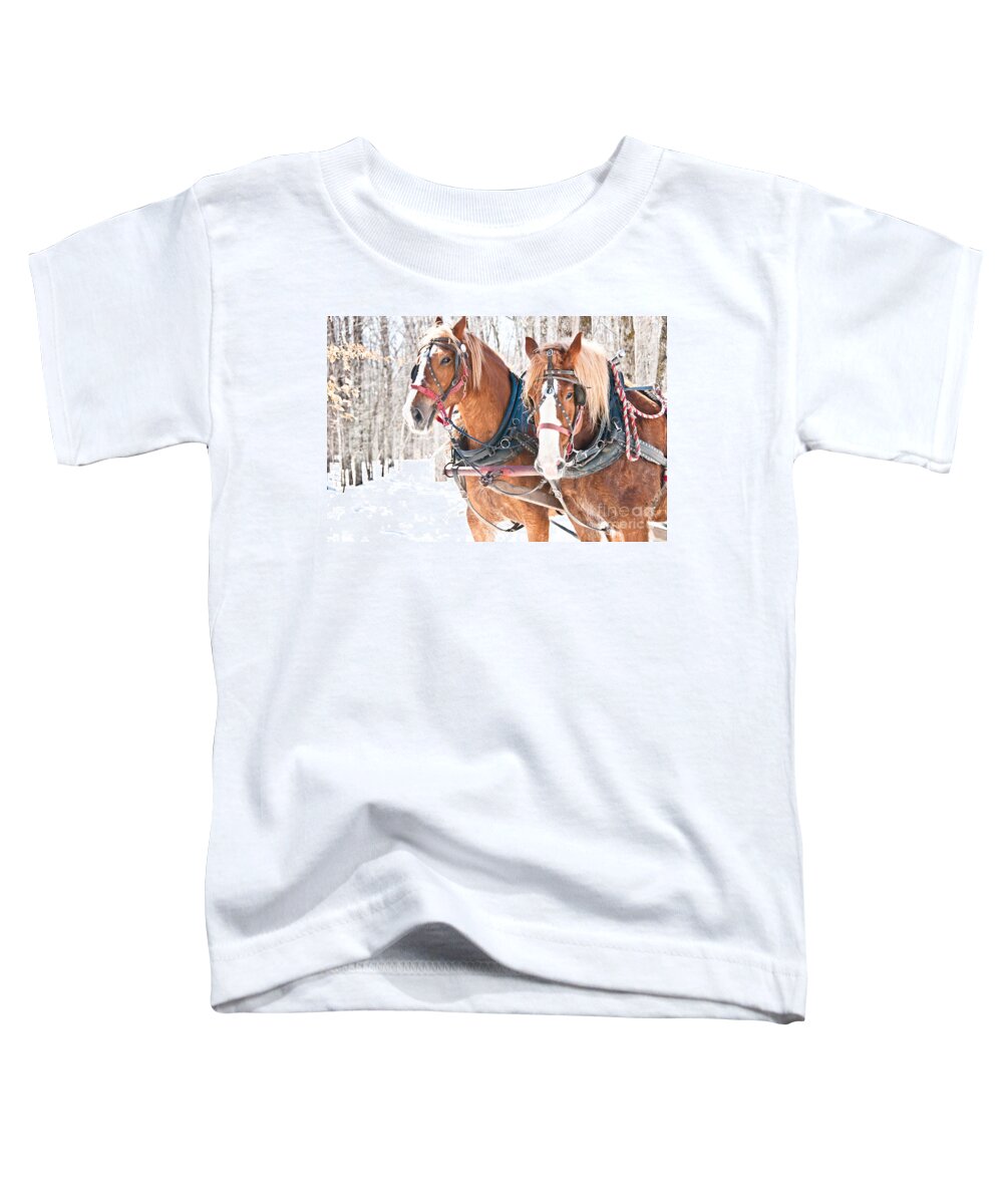 Maple Syrup Toddler T-Shirt featuring the photograph Gentle Giants by Cheryl Baxter
