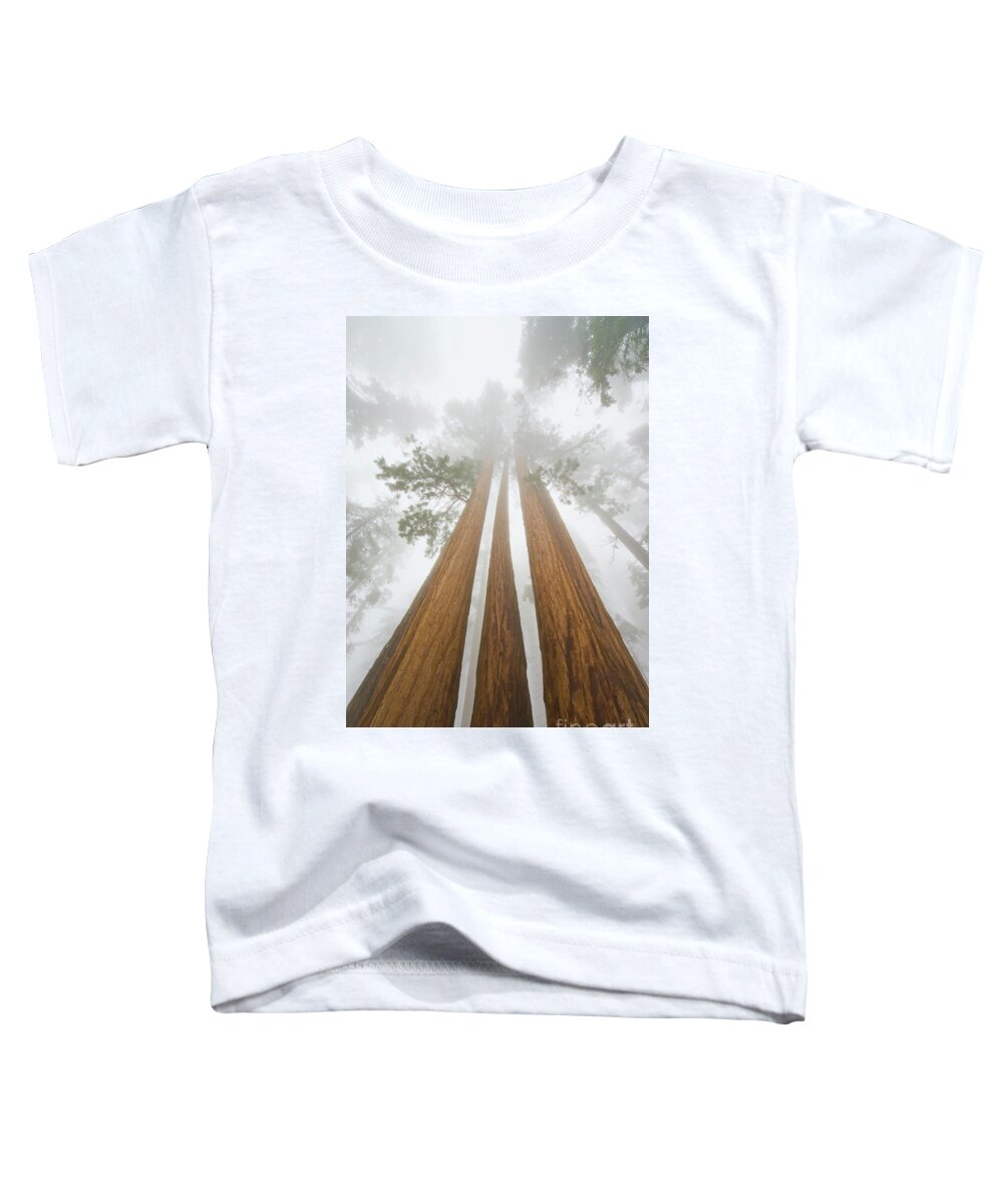 00431220 Toddler T-Shirt featuring the photograph Giant Sequoias In the Fog by Yva Momatiuk John Eastcott