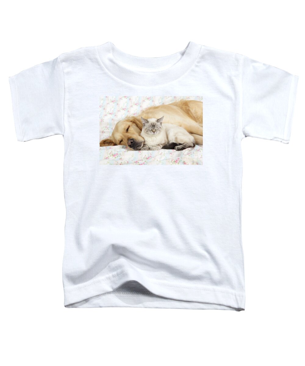 Dog Toddler T-Shirt featuring the photograph Golden Retriever And Cat by John Daniels