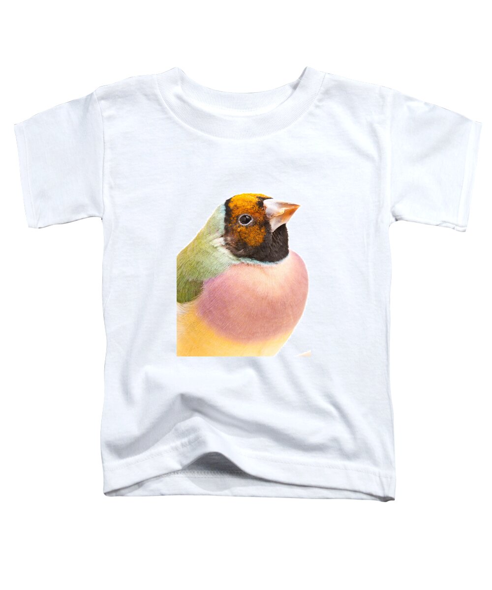 Animal Toddler T-Shirt featuring the photograph Gouldian Finch Erythrura Gouldiae by David Kenny