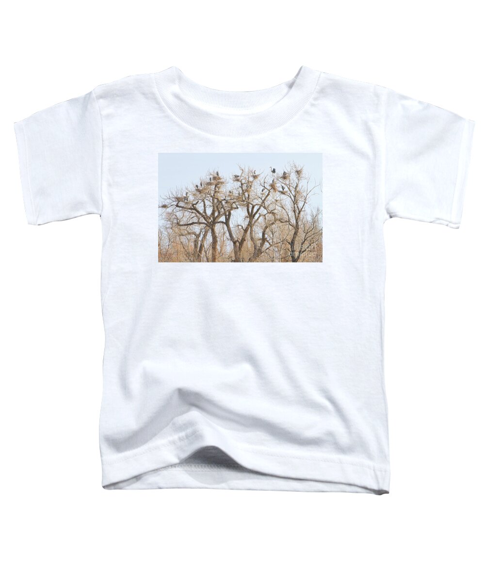 Animals Toddler T-Shirt featuring the photograph Great Blue Heron Colony by James BO Insogna