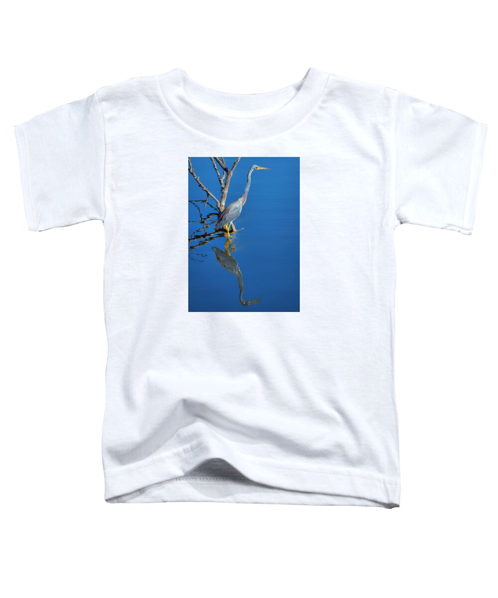 Herons Toddler T-Shirt featuring the photograph Tricolored Heron by Nikolyn McDonald