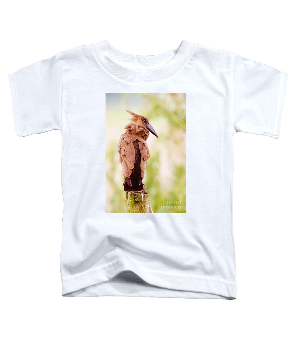 Hamerkop Toddler T-Shirt featuring the photograph Hamerkop In A Tree by Nick Biemans