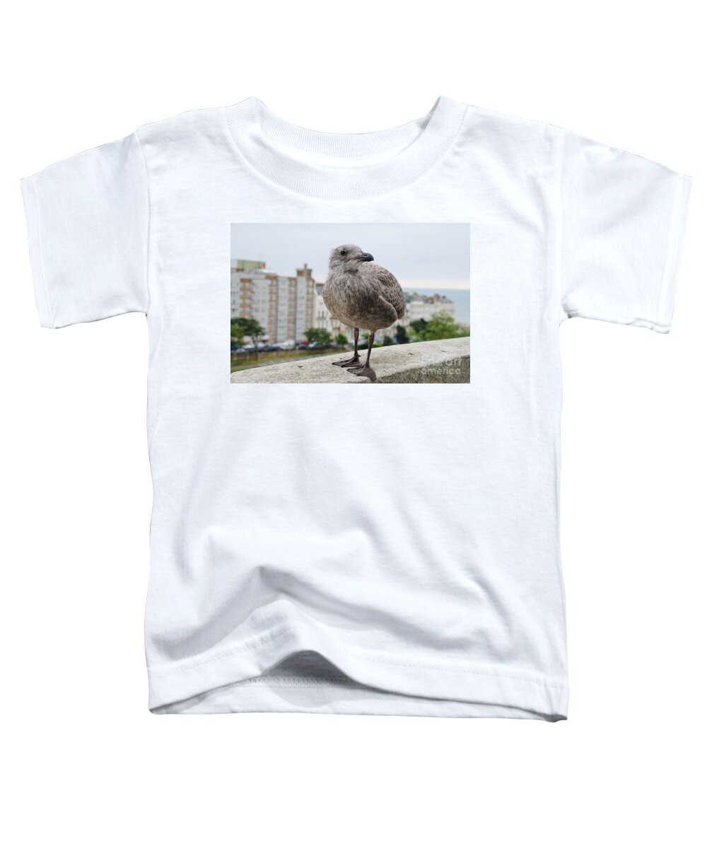 European Toddler T-Shirt featuring the photograph Herring Gull chick by David Fowler