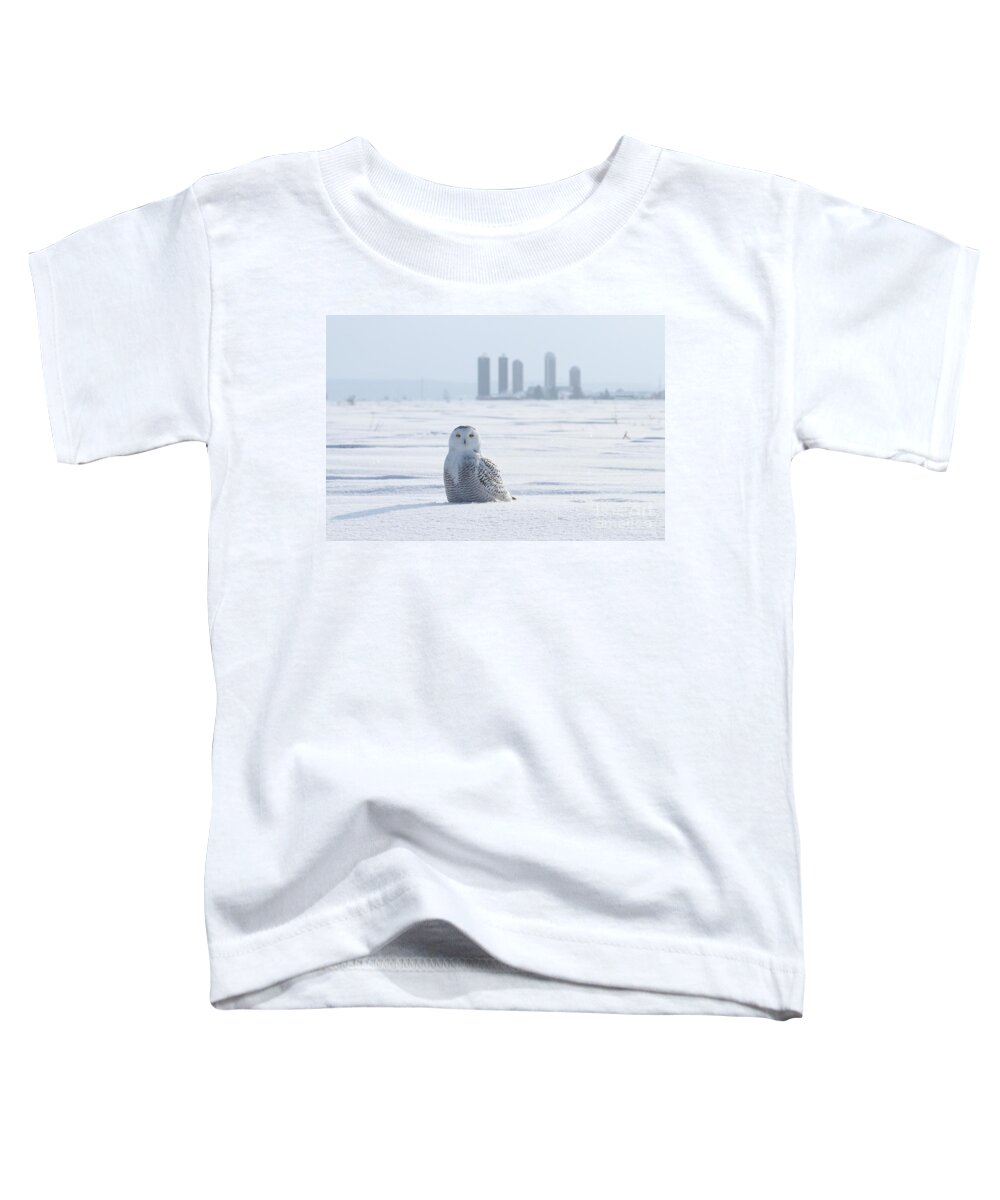 Snowy Owls Toddler T-Shirt featuring the photograph Home away from home by Heather King
