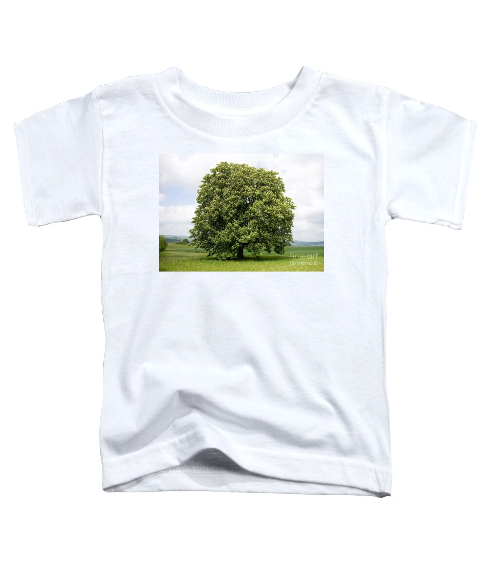 Horse Chestnut Toddler T-Shirt featuring the photograph Horse Chestnut Tree by Wolfgang Herath