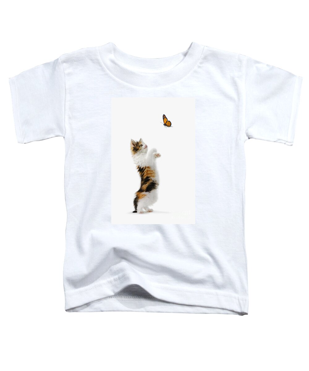 Active Toddler T-Shirt featuring the photograph Kitten and Monarch Butterfly by Wave Royalty Free