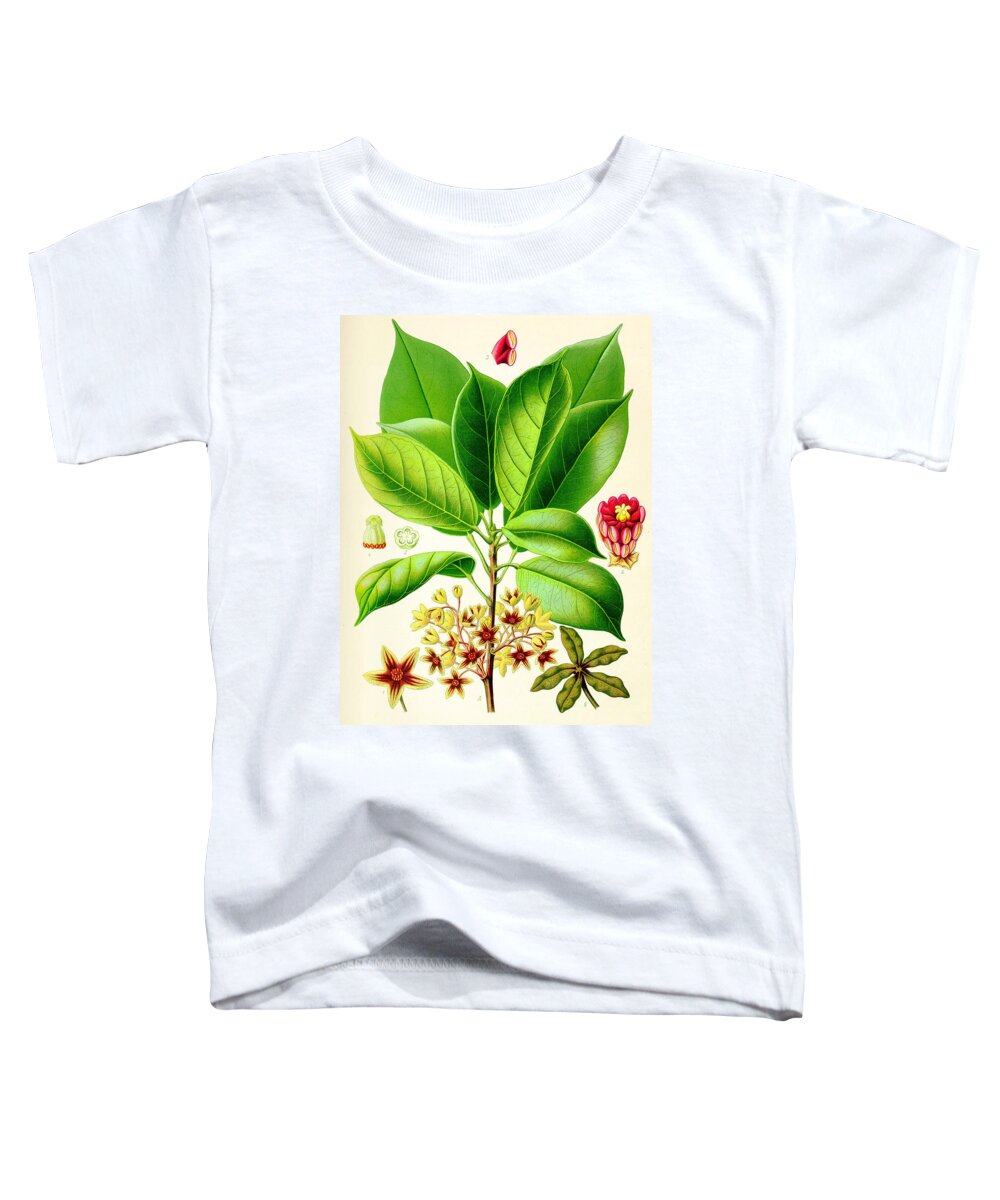 Koehler Toddler T-Shirt featuring the digital art Kola Nut by Georgia Clare