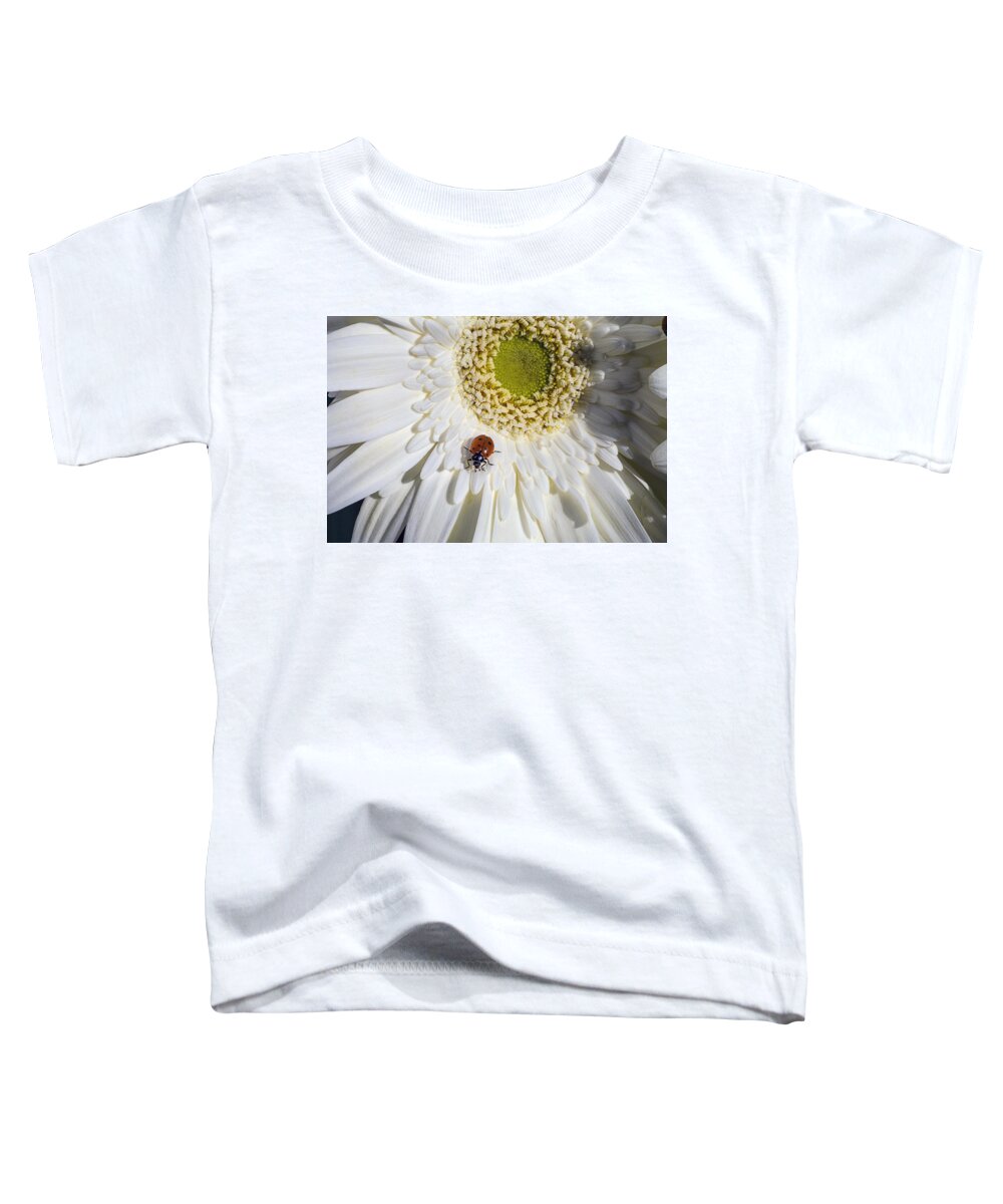 Ladybugs Bug Toddler T-Shirt featuring the photograph Ladybug by Garry Gay