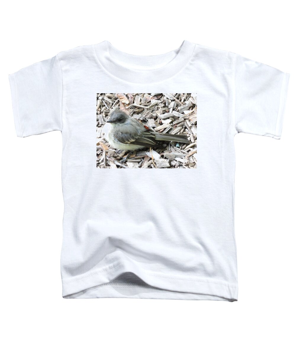 Birds Toddler T-Shirt featuring the photograph Little Junco by Chrissey Dittus