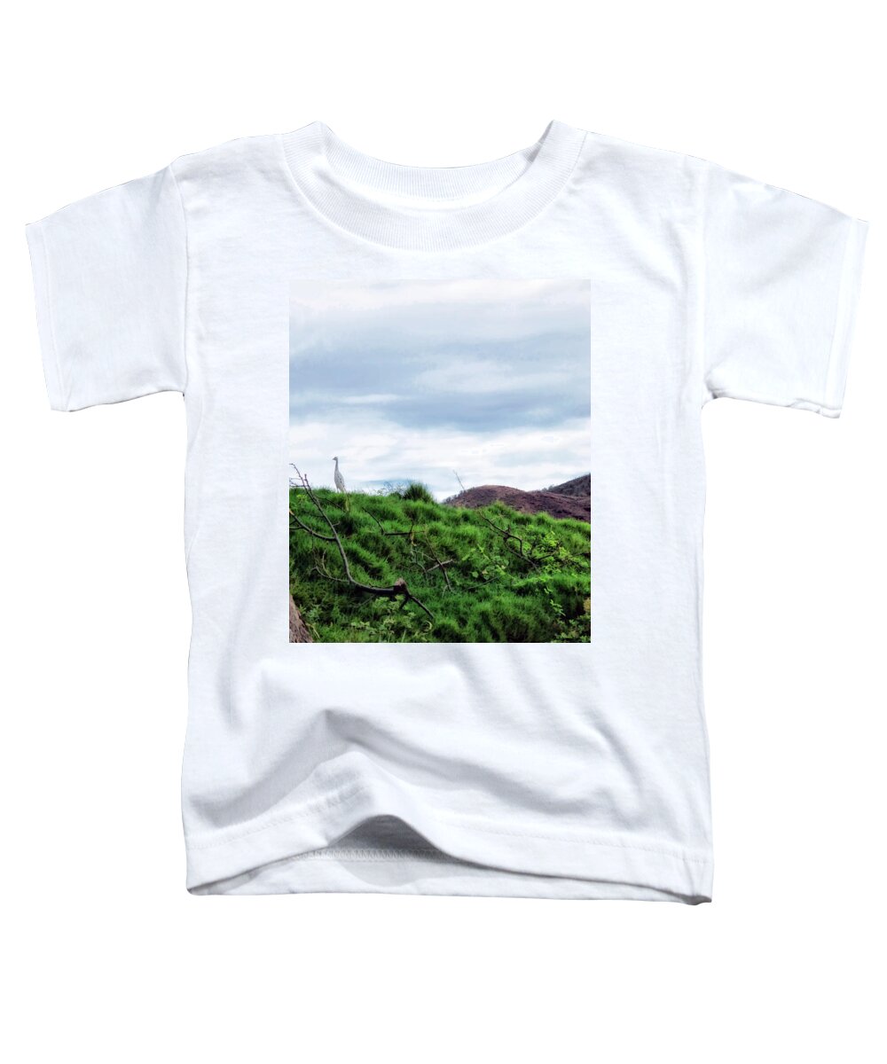 Hawaii Toddler T-Shirt featuring the photograph Makena 18 by Dawn Eshelman