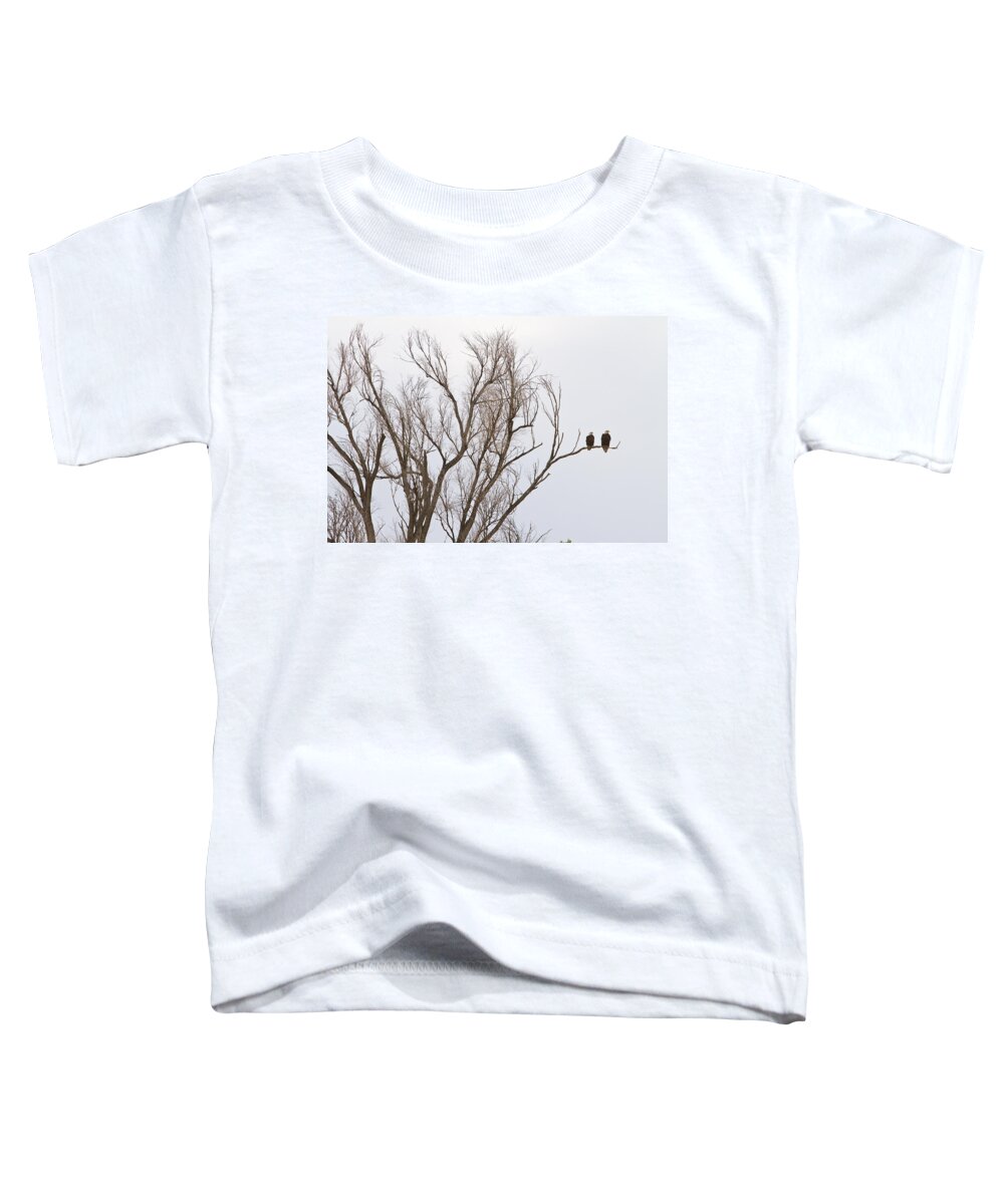 Bald Eagles Toddler T-Shirt featuring the photograph Male and Female Bald Eagles by James BO Insogna
