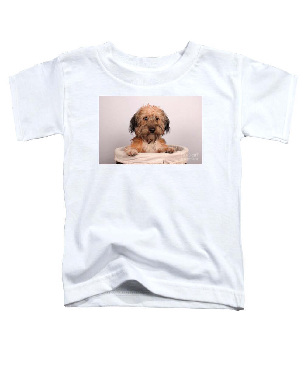 Dog Toddler T-Shirt featuring the photograph Max 2 by Randi Grace Nilsberg