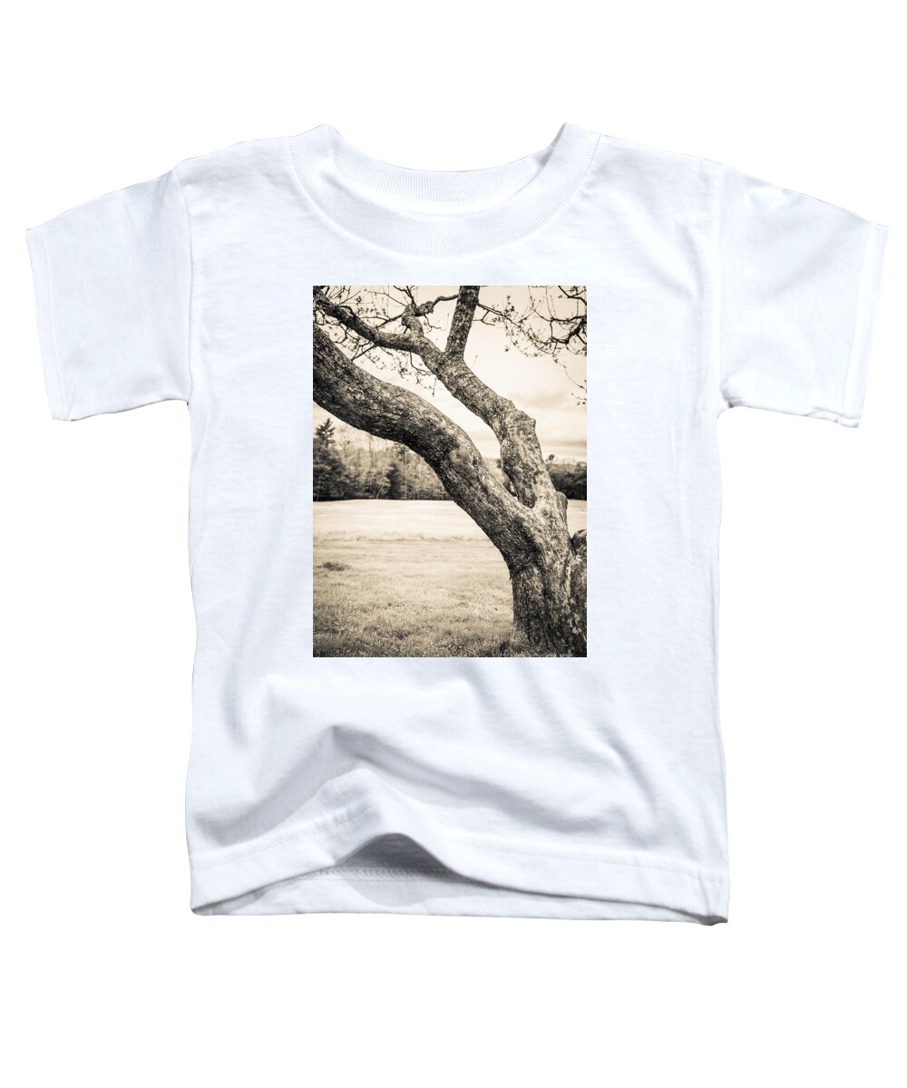 Cornish Toddler T-Shirt featuring the photograph Meet me under the old apple tree by Edward Fielding