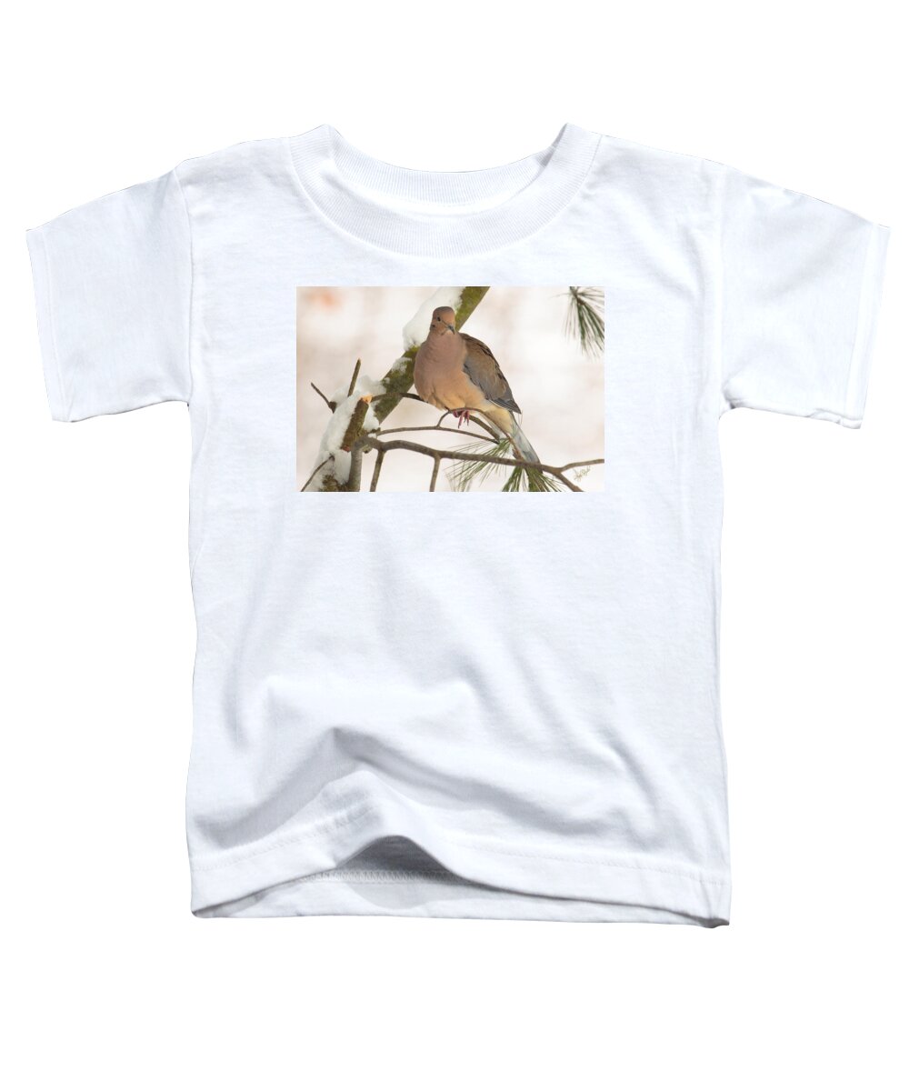 Morning Toddler T-Shirt featuring the photograph Morning Dove by Everet Regal