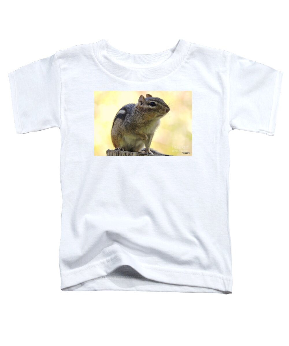 Chipmunk Toddler T-Shirt featuring the photograph Mr. Chips by Tami Quigley