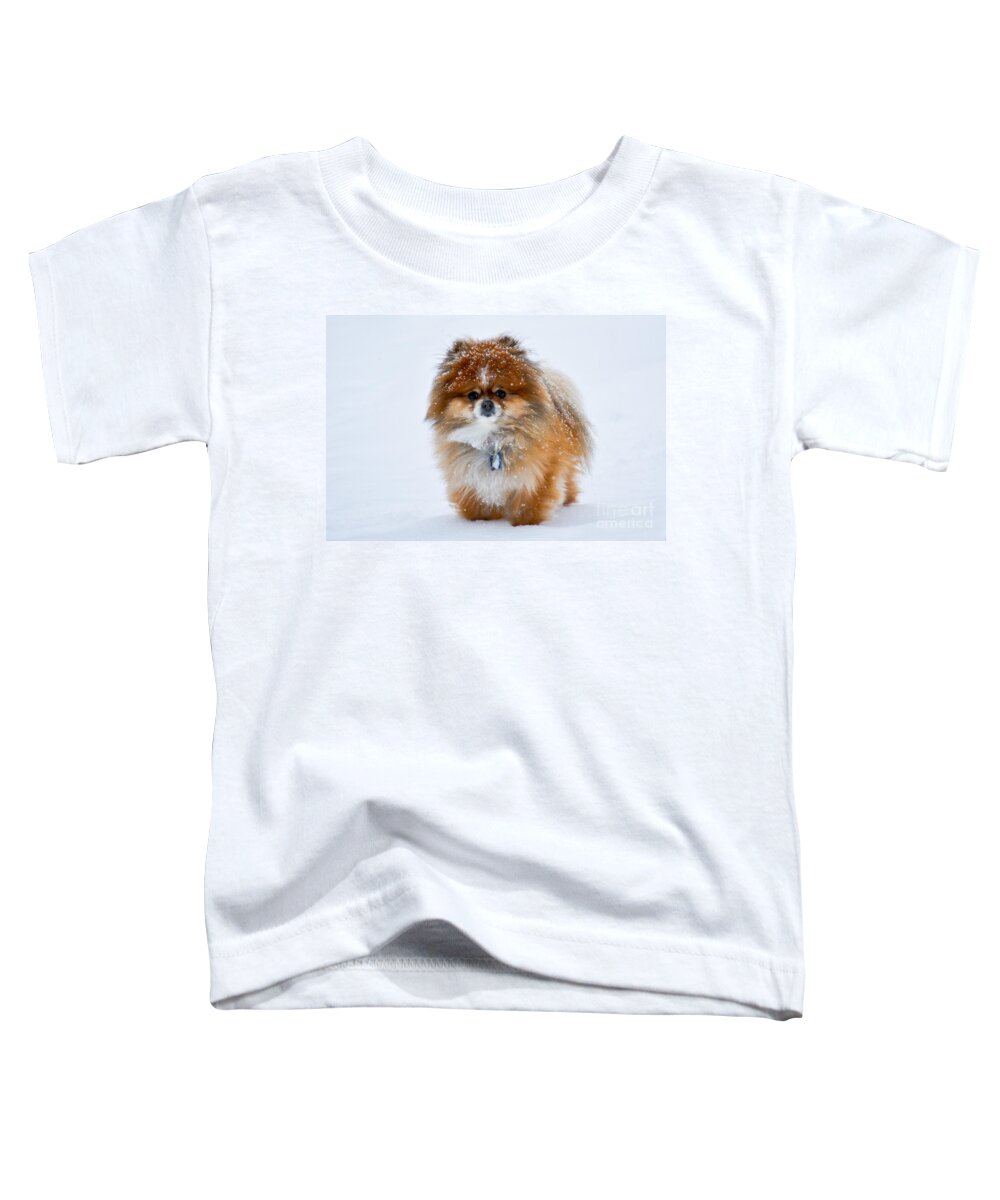 Pomeranian Toddler T-Shirt featuring the photograph My Pomeranian Puppy by Gary Keesler