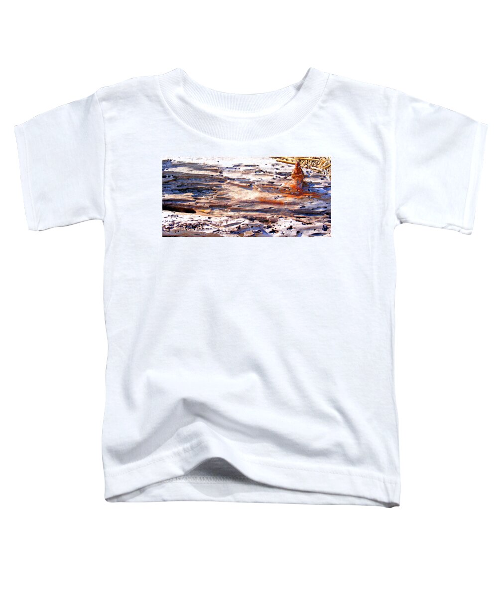 Wood Toddler T-Shirt featuring the photograph Old Weathered Log on the Sea Shore by Duane McCullough