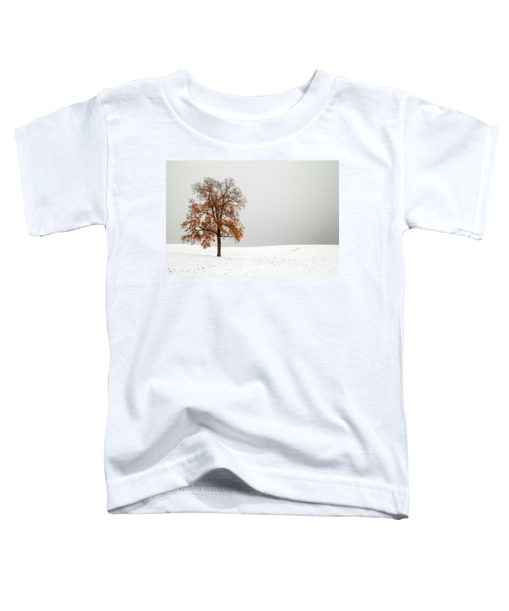 Autumn Toddler T-Shirt featuring the photograph Orange and White by Todd Klassy