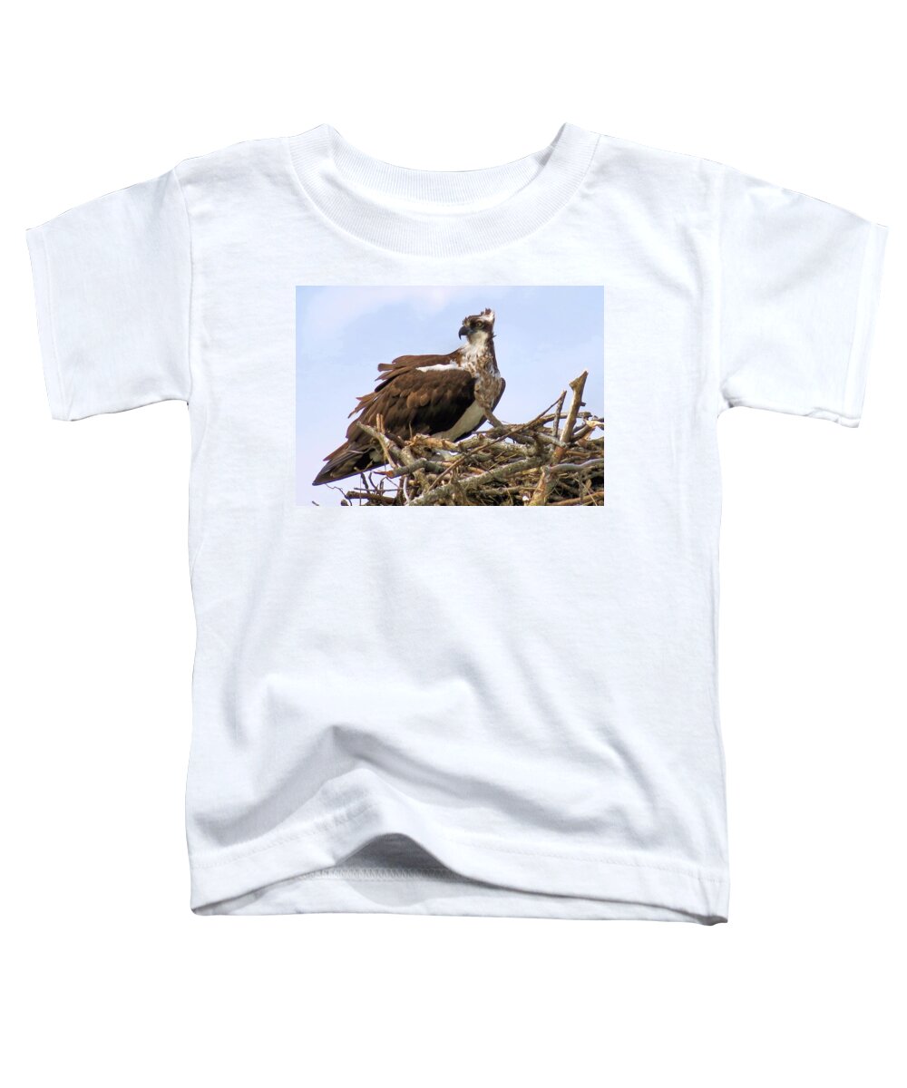 Birds Toddler T-Shirt featuring the photograph Osprey by Janice Drew