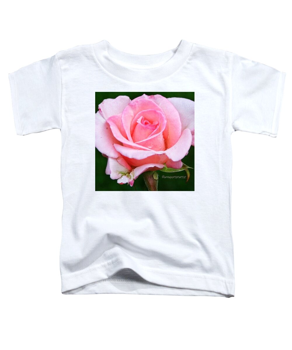 Pink Toddler T-Shirt featuring the photograph Pale Pink Beauty by Anna Porter