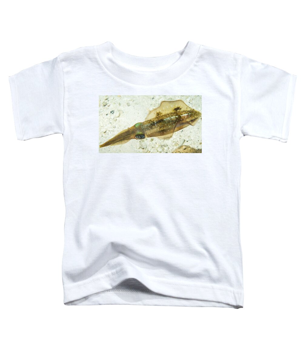 Grand Cayman Toddler T-Shirt featuring the photograph Pale Squid by Jean Noren