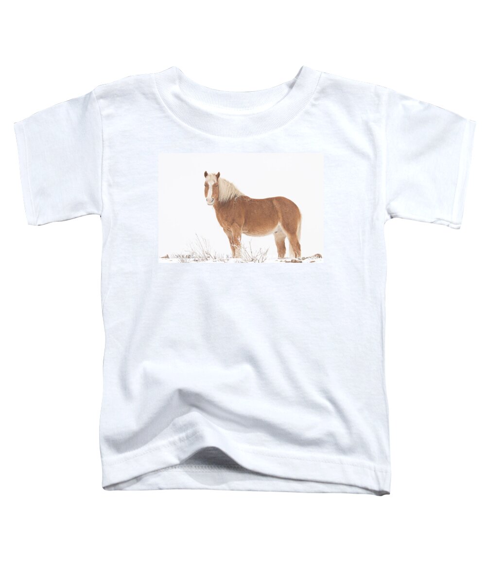 Palomino Toddler T-Shirt featuring the photograph Palomino Horse in the Snow by James BO Insogna