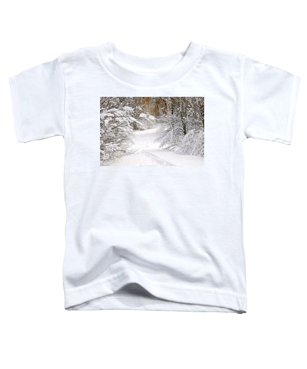 Winter Toddler T-Shirt featuring the photograph Path in winter forest 5 by Elena Elisseeva