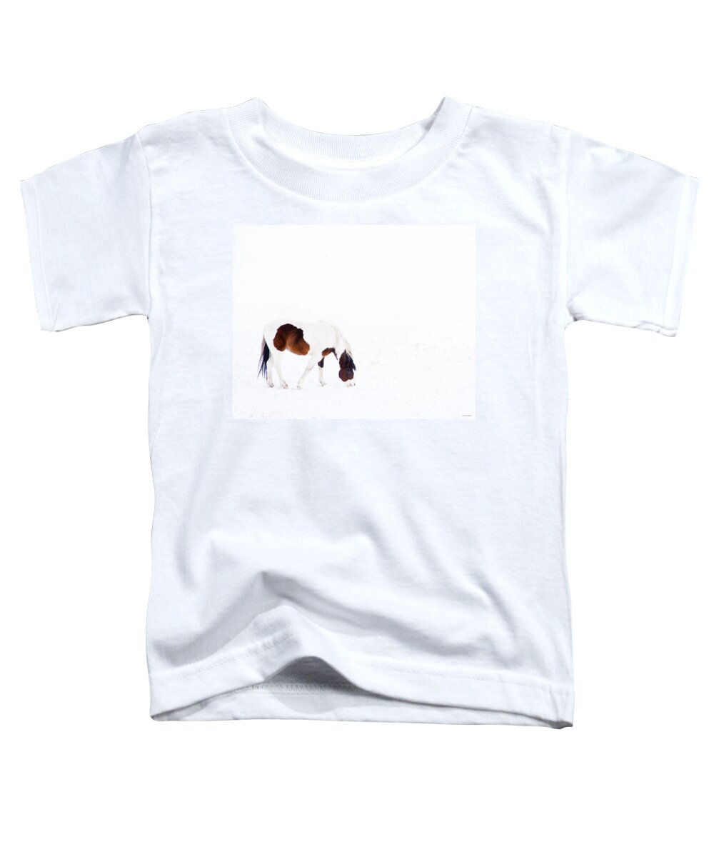 Small Horse Toddler T-Shirt featuring the photograph Pinto Pony by Theresa Tahara