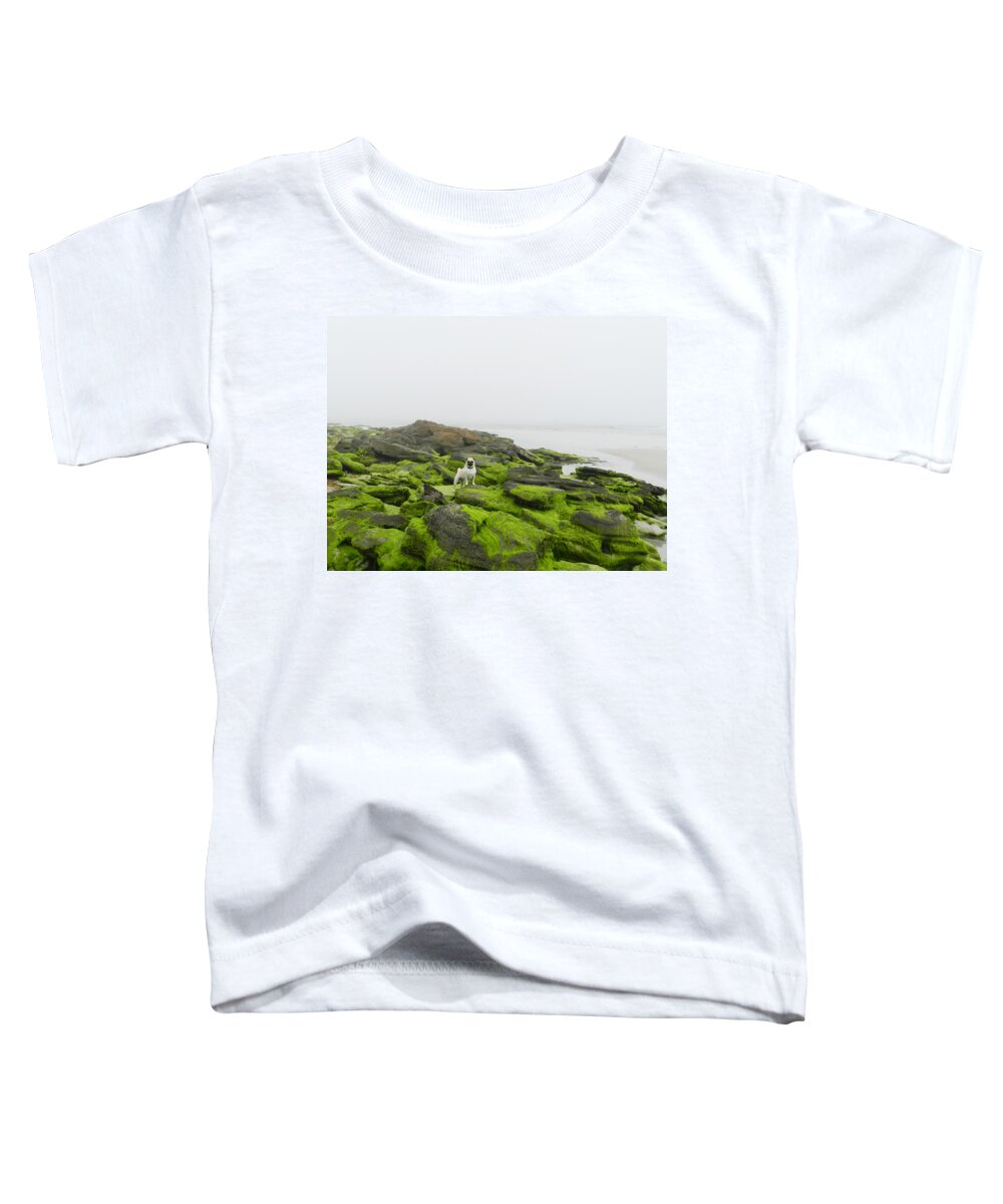 Pug Toddler T-Shirt featuring the photograph Pug on the Rocks by Deborah Ferree