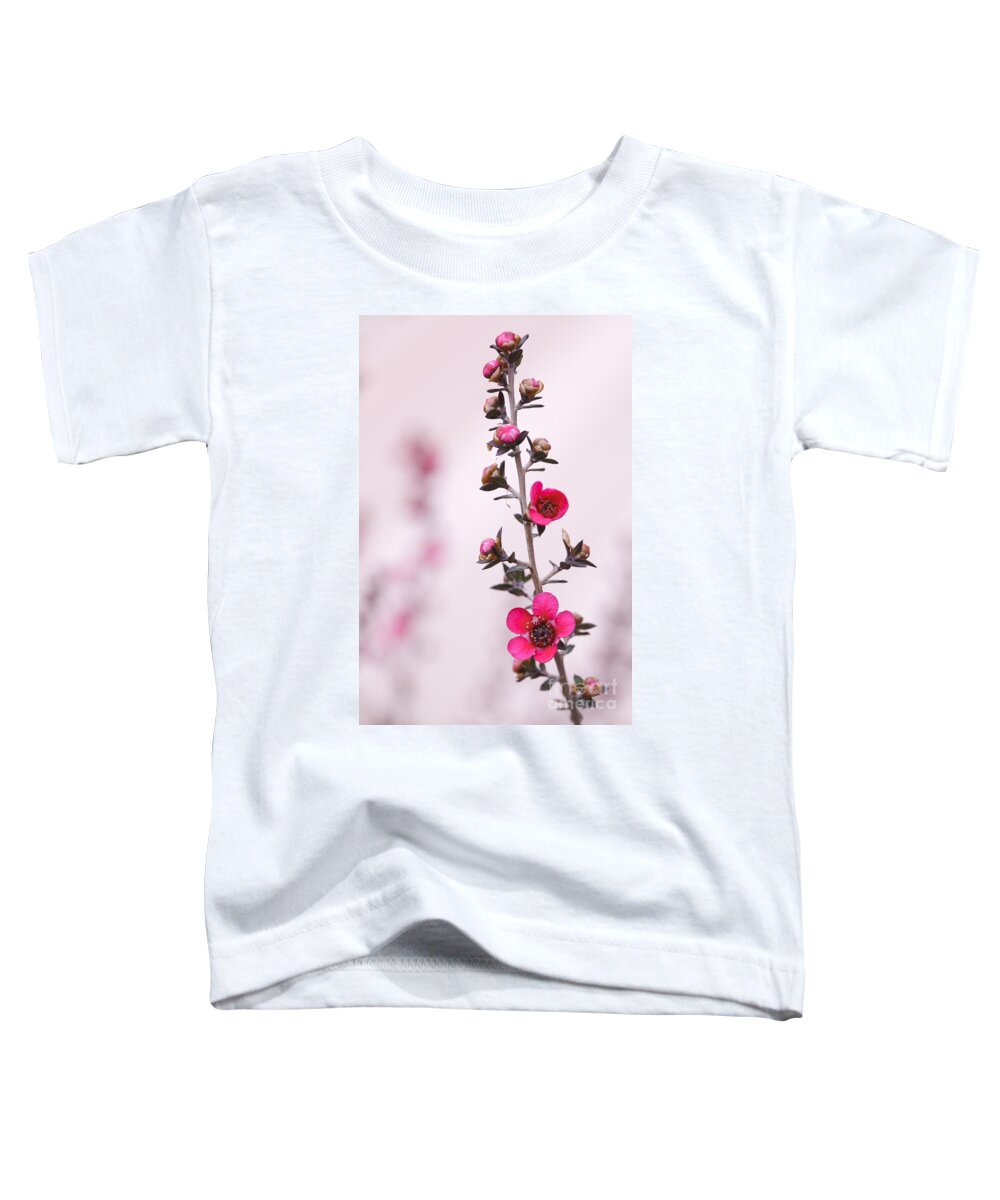 Red Toddler T-Shirt featuring the photograph Red New Zealand Tea tree macro by Ken Brown